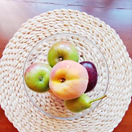 Loreto Lya Sea View Rovinj