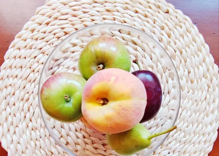 Loreto Lya Sea View Ρόβινι